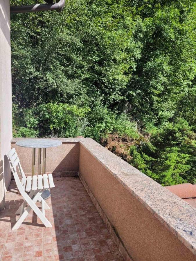 Nature Apartment